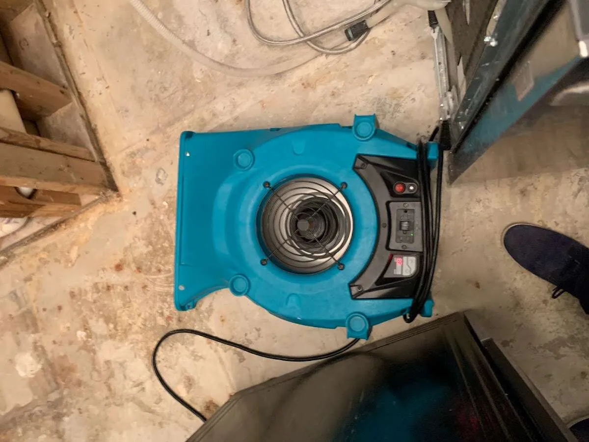 Air mover drying equipment for Mold Remediation & Removal in Westbrook